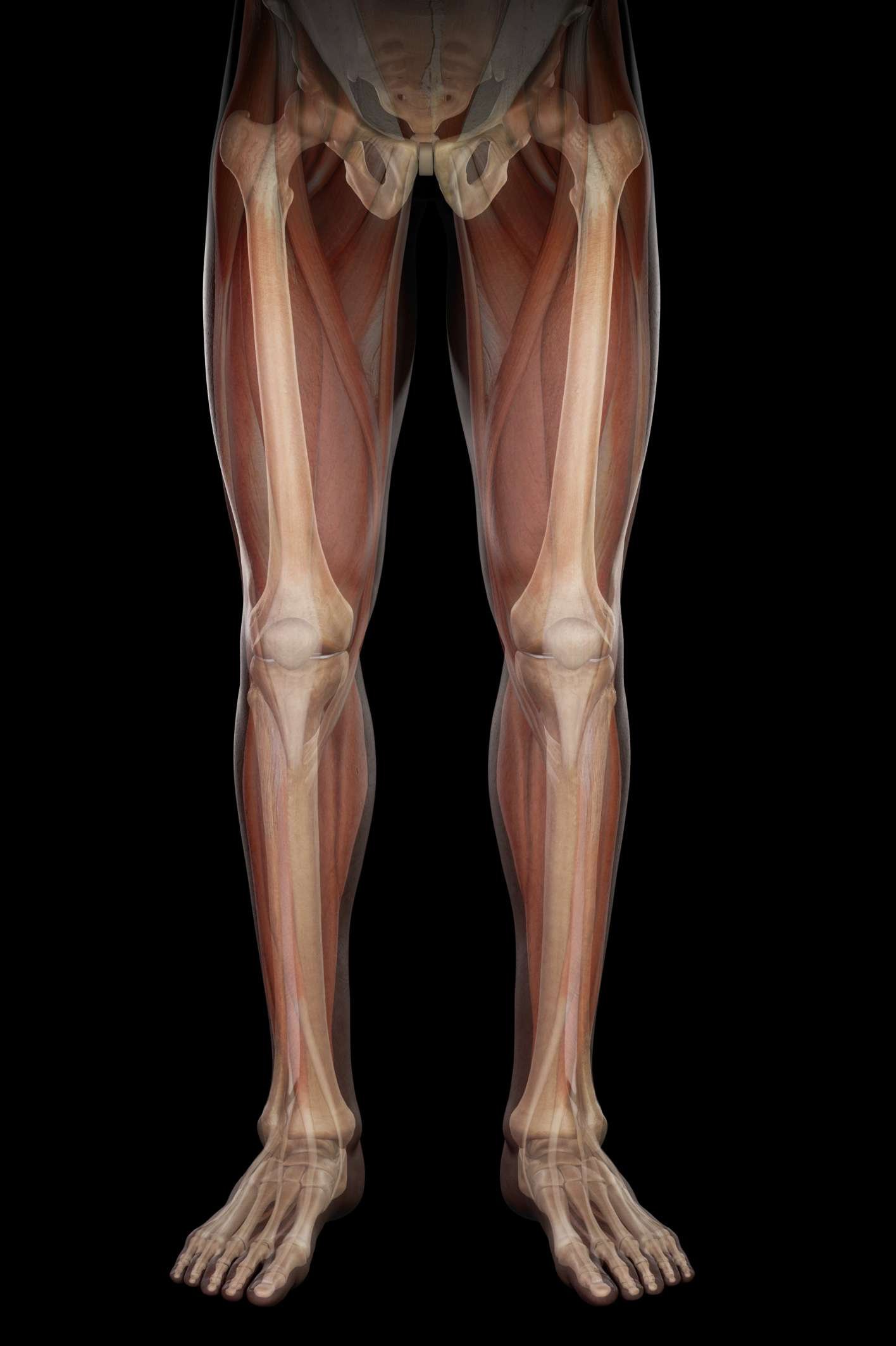 Best Knee Surgeon In Amravati