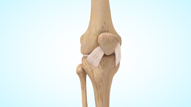 Best Ligament Doctor In Balaghat