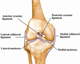 Best Ligament Doctor In Jabalpur