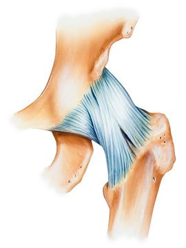 Best Ligament Doctor In Satna