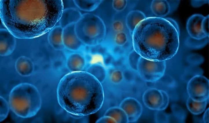 Best Orthobiologics In Nagpur