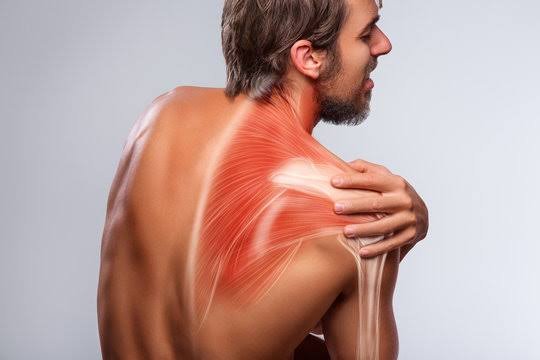 Best Shoulder Pain Doctor In Balaghat