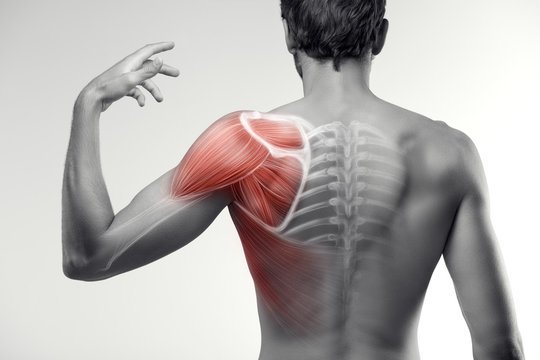 Best Shoulder Pain Doctor In Gondia