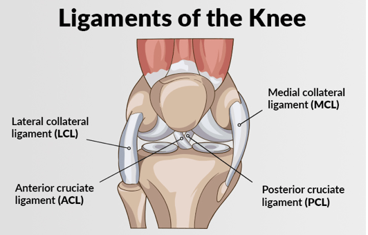 Ligament Injury In Nagpur