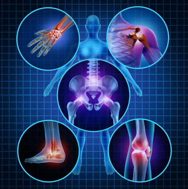 Orthopedic Doctor Near Me In Jabalpur