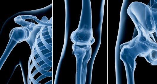 Orthopedic Doctor Near Me In Seoni